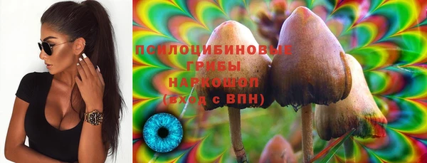 jwh Козельск