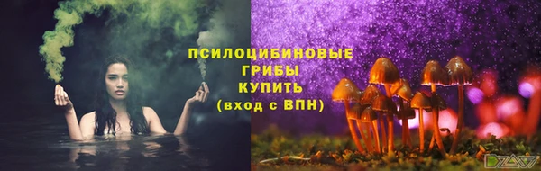 jwh Козельск